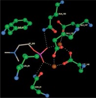 https://www.archivesofmedicalscience.com/f/fulltexts/85880/AMS-16-6-42213-i009_min.jpg