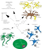 https://www.archivesofmedicalscience.com/f/fulltexts/89687/AMS-15-36776-g001_min.jpg