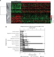 https://www.archivesofmedicalscience.com/f/fulltexts/89691/AMS-15-32731-g006_min.jpg