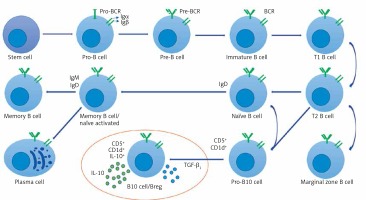 https://www.archivesofmedicalscience.com/f/fulltexts/93831/AMS-15-33534-g002_min.jpg