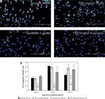 https://www.archivesofmedicalscience.com/f/fulltexts/94984/AMS-17-3-94984-g004_min.jpg