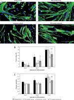 https://www.archivesofmedicalscience.com/f/fulltexts/94984/AMS-17-3-94984-g005_min.jpg