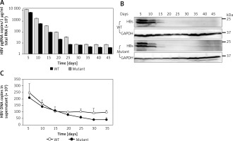 https://www.archivesofmedicalscience.com/f/fulltexts/95101/AMS-16-2-34155-g003_min.jpg