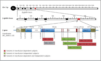 https://www.archivesofmedicalscience.com/f/fulltexts/95285/AMS-16-2-36521-g001_min.jpg