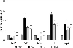 https://www.archivesofmedicalscience.com/f/fulltexts/96270/AMS-17-5-96270-g004_min.jpg