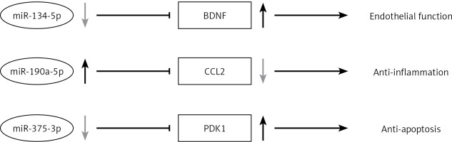 https://www.archivesofmedicalscience.com/f/fulltexts/96270/AMS-17-5-96270-g005_min.jpg