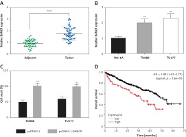 https://www.archivesofmedicalscience.com/f/fulltexts/98949/AMS-17-5-98949-g001_min.jpg