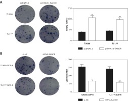 https://www.archivesofmedicalscience.com/f/fulltexts/98949/AMS-17-5-98949-g004_min.jpg