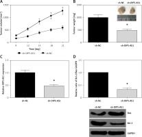 https://www.archivesofmedicalscience.com/f/fulltexts/99680/AMS-17-6-99680-g003_min.jpg