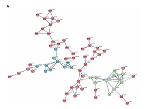 Figure from article: The isobaric tags for...