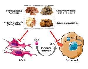 Figure from article: The anti-lung cancer effect...