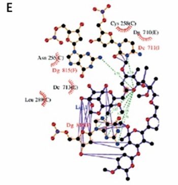 Figure from article: Polyether antibiotics K-41A...