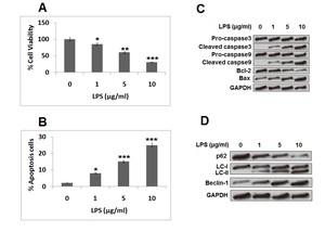 Figure from article: miR-93-5p attenuates...