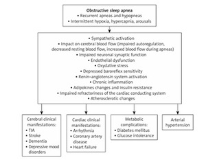 Figure from article: Magnetic resonance white...