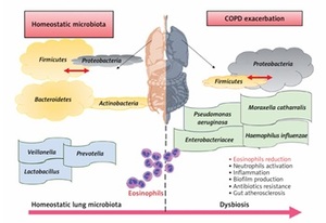 Figure from article: May nutrients and dietary...