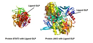 Figure from article: Oleuropein modulates...