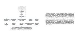 Figure from article: COX7C alleviates lipid...