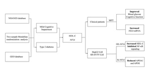 Figure from article: High-Density Lipoprotein...