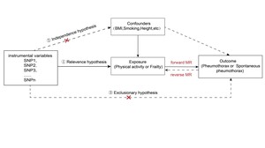 Figure from article: Causal relationship...
