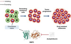 Figure from article: Acetylshikonin (AceS)...
