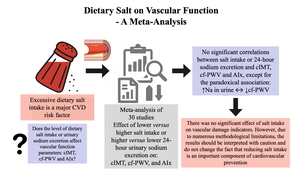 Figure from article: Dietary salt on vascular...