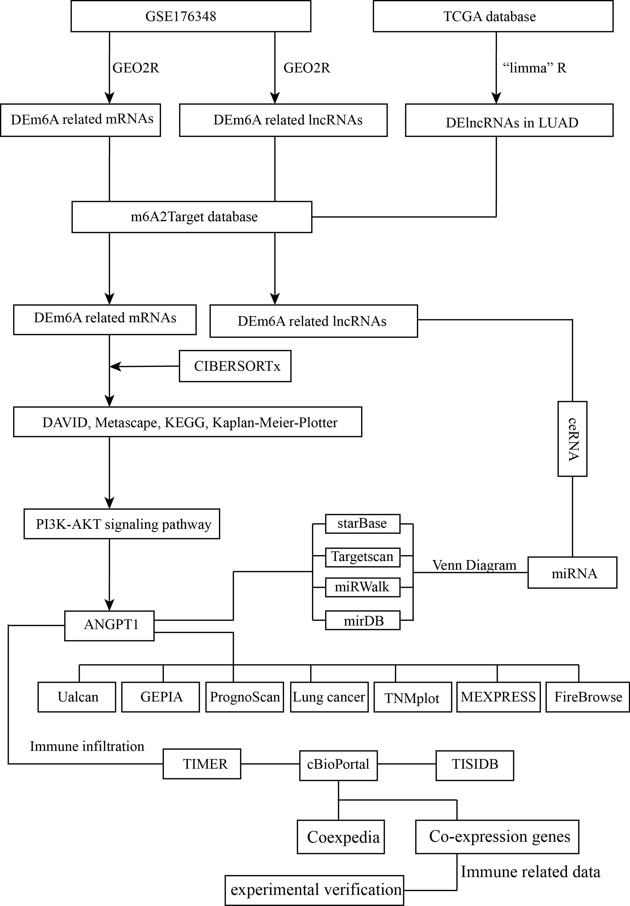 Figure from article: Construction of m6A-related...