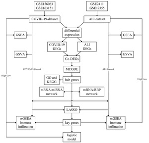 Figure from article: Identification of key...