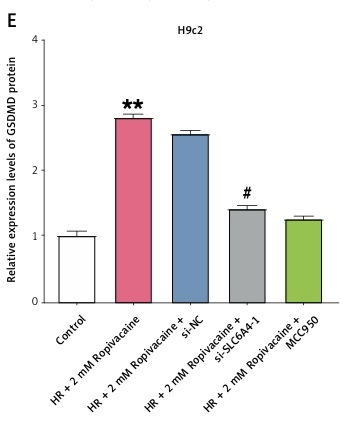 Figure from article: <i>Slc6a4</i> silencing...