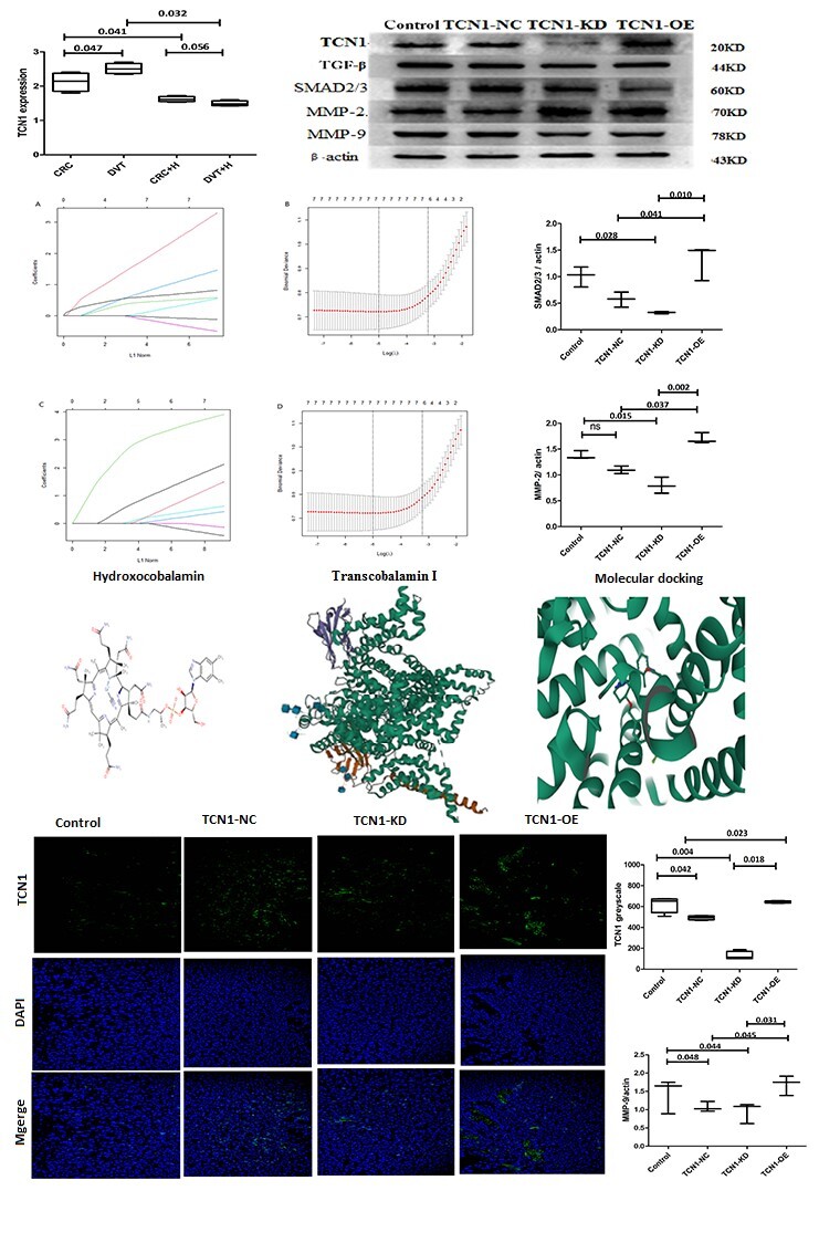 Figure from article: Transcobalamin I: a...