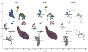 Figure from article: Integrated Mendelian...