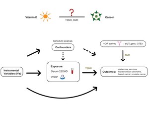 Figure from article: Neither VitD nor VitD...
