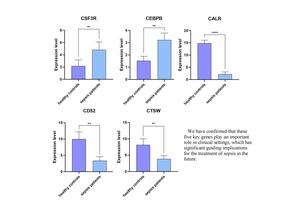 Figure from article: Molecular mechanisms...