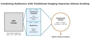 Figure from article: Radiomics-based models...