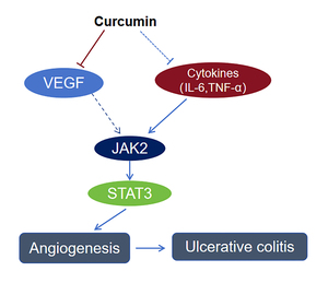 Figure from article: Curcumin ameliorates...