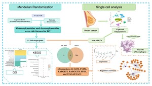 Figure from article: Evaluating the Causal...