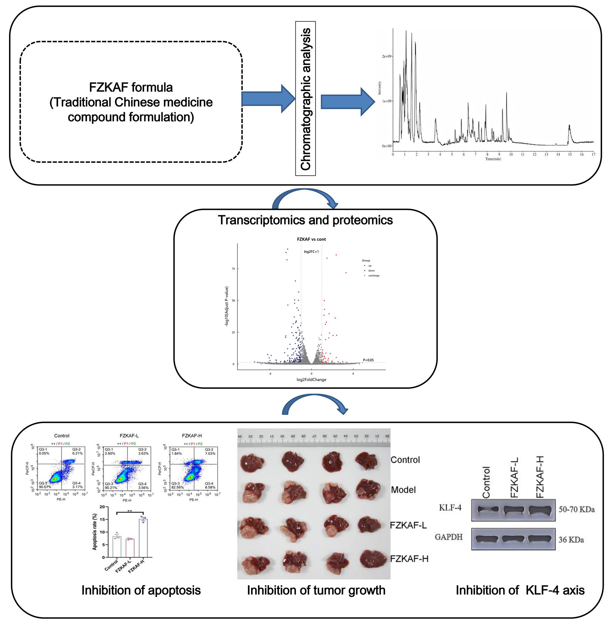 Figure from article: Fuzheng Kang’ai decoction...