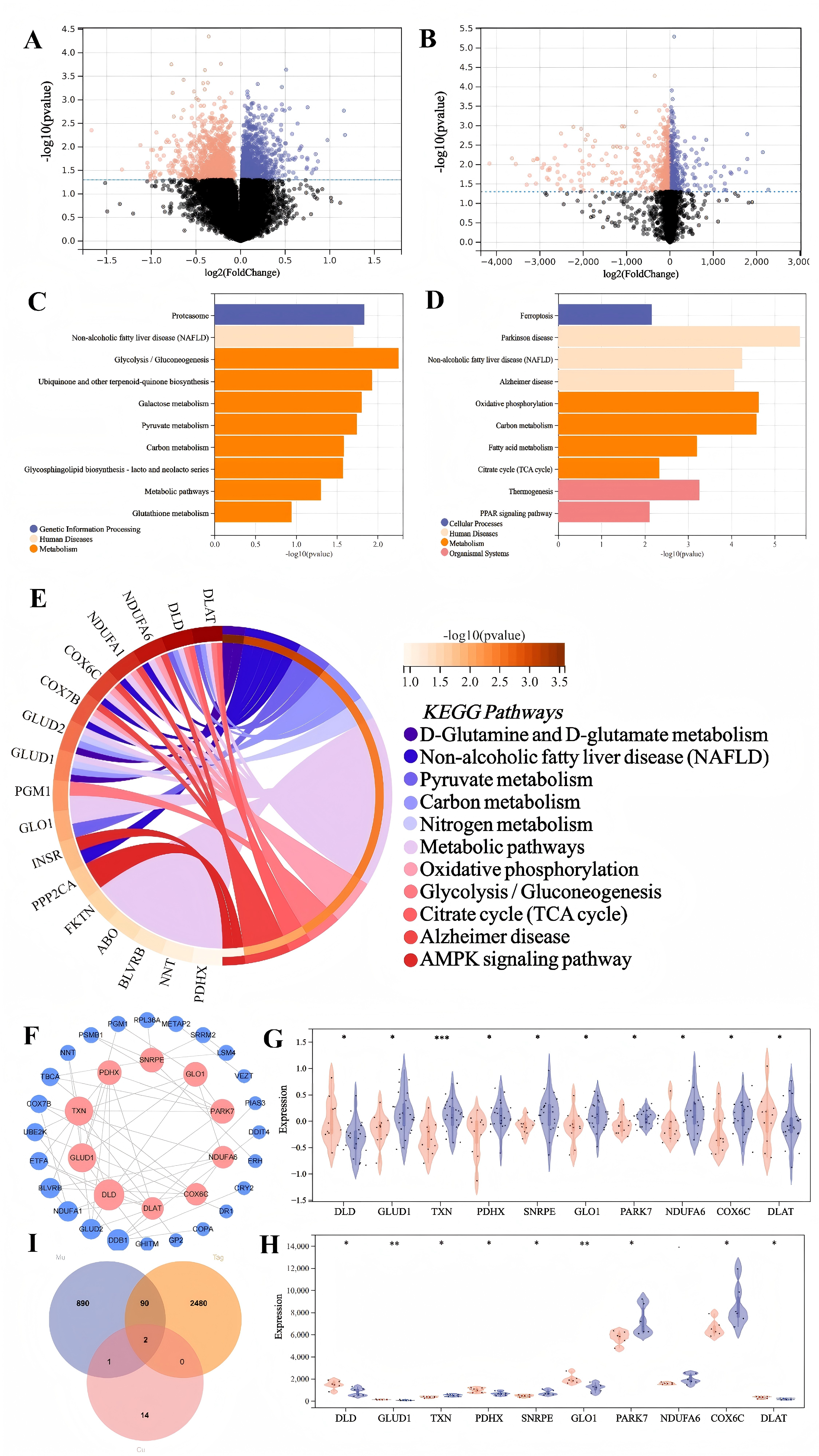 Figure from article: A study exploring the...
