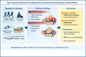 Sport-related entheseal adaptation and damage 
in elite athletes: a cross-sectional ultrasound study