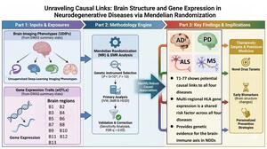 Figure from article: Genetically inferred...