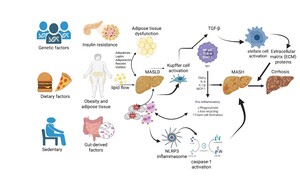 Biomarkers for early identification of metabolic dysfunction-associated steatotic liver disease (MASLD): a narrative review