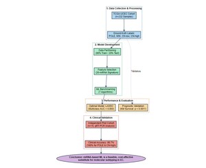 Figure from article: MicroRNA-Based Machine...