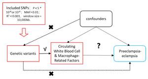 Figure from article: Causal Association Between...