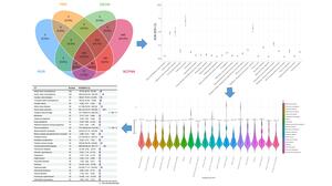 Figure from article: A real-world...