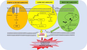 Figure from article: Metabolic alterations and...