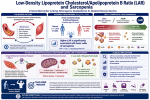 Beyond Traditional Lipid Markers: Low-density Lipoprotein Cholesterol with Apolipoprotein B Ratio – a Novel Biomarker for Sarcopenia?
