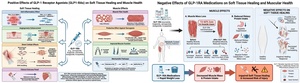 Figure from article: GLP-1 receptor agonists and...