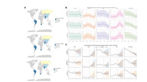 Epidemiological trends and future projections of vertebral fracture in BRICS countries: a GBD 2023 study