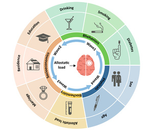 Figure from article: Allostatic load and...