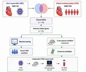 Figure from article: Machine-learning analysis...