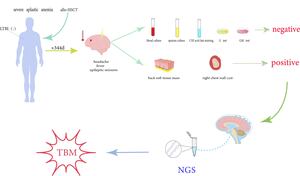 Figure from article: Tuberculous meningitis...